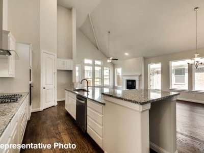 Grand Kitchen overlooking Grand Family Room