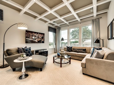Downstairs Media Room/Gameroom